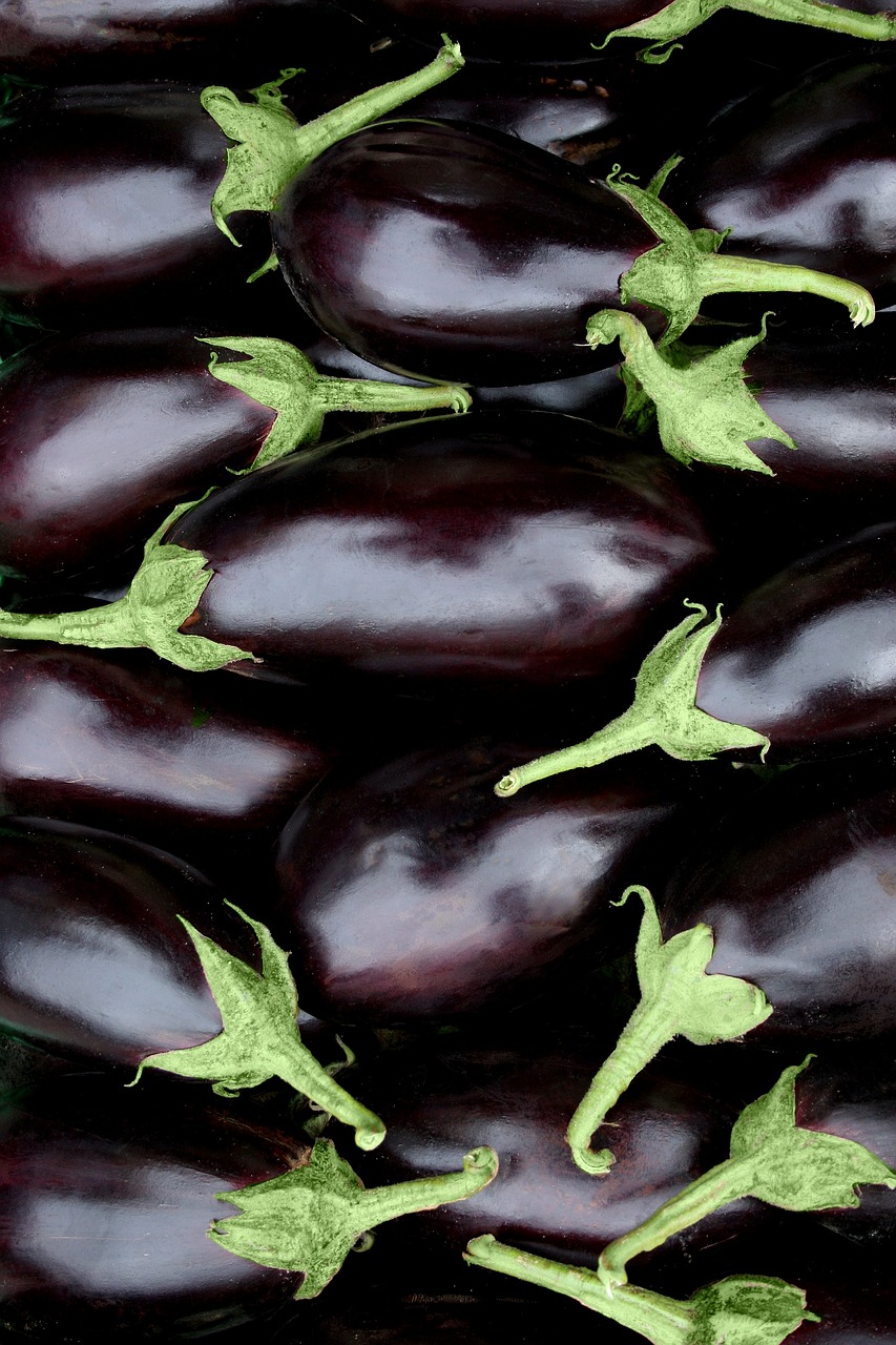 Zucchini & Eggplant